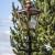 Wombourne Lamppost (LS05)with Large Square Copper Lantern (CP03)